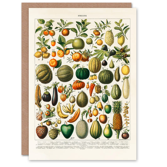 Nouveau Larousse Illustre Art Card Fruits and Vegetables