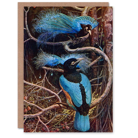 Sir Henry Hamilton Johnston Art Card Blue Bird of Paradise