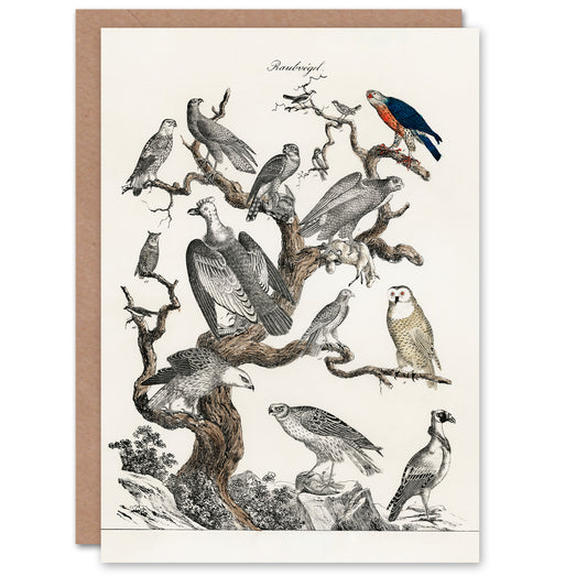 Vintage Illustration Art Card Birds of Prey Perched on Tree