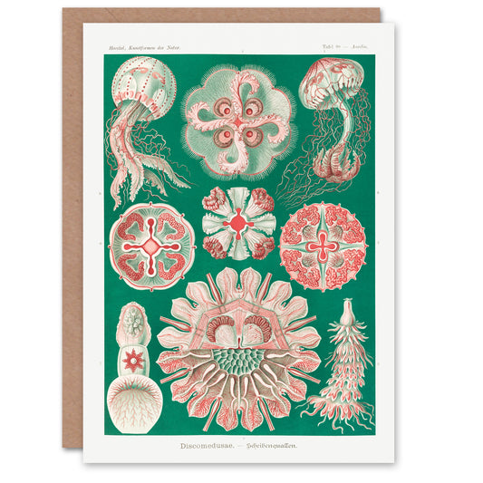 Ernst Haeckel Art Card Green Pink Vintage Jellyfish Illustration