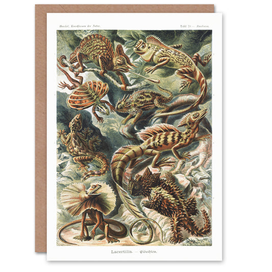 Ernst Haeckel Art Card Lacertilia Reptile Lizard Species