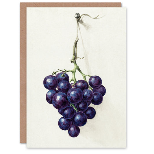 Jean Bernard Art Card Bunch of Blue Grapes Oil Painting