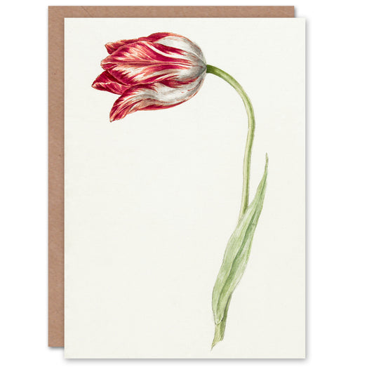 Jean Bernard Art Card Pink Tulip Flower Drawing