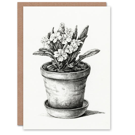 Jean Bernard Art Card Potted Flowering Plant Pencil Drawing