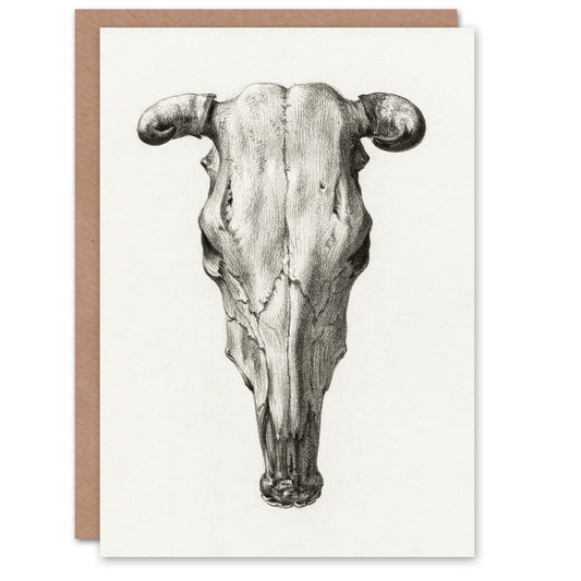 Jean Bernard Art Card Skull of a Cow Pencil Drawing