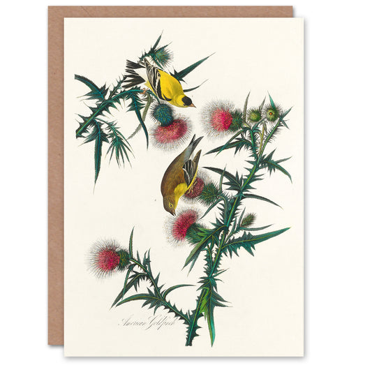 John James Audubon Art Card American Goldfinch and Thistle