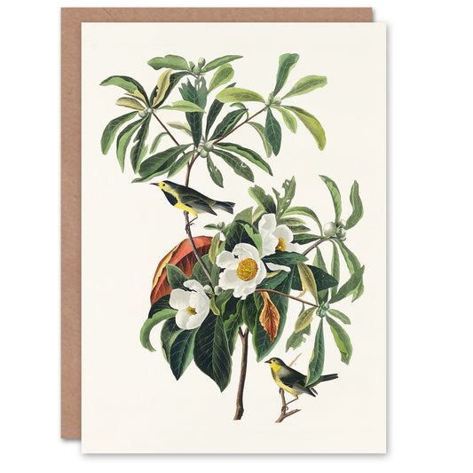 John James Audubon Art Card Bachmans Warbler and Franklinia Tree