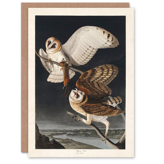 John James Audubon Art Card Birds of America Barn Owl