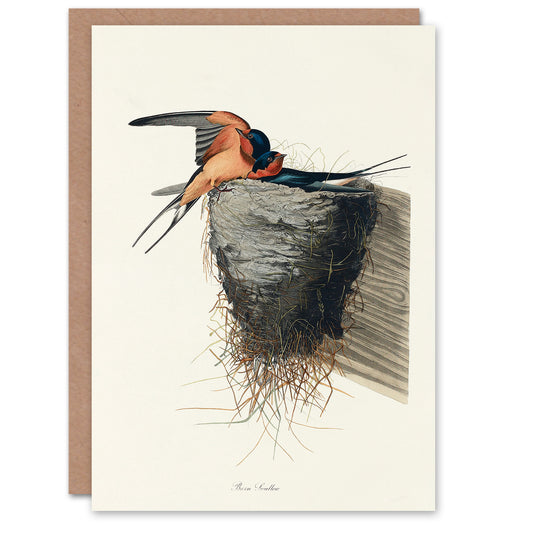 John James Audubon Art Card Birds of America Barn Swallow