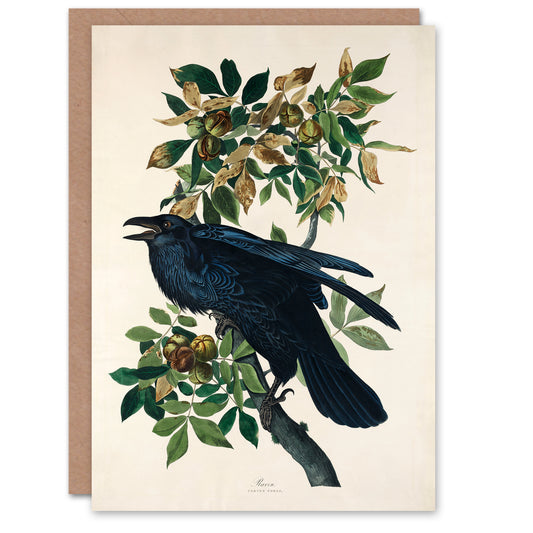 John James Audubon Art Card Birds of America Raven