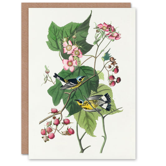 John James Audubon Art Card Black and Yellow Warblers