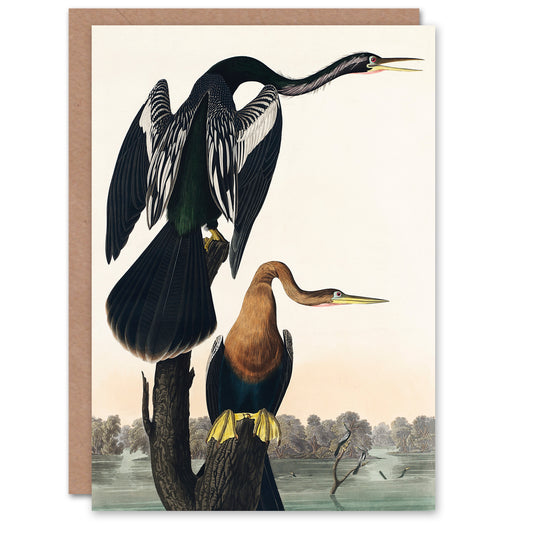 John James Audubon Art Card Black Bellied Darter Bird