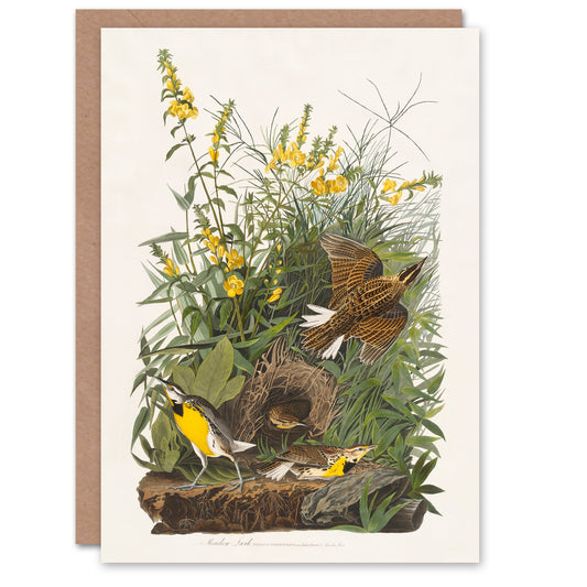 John James Audubon Art Card Meadow Lark Bird and Yellow False Foxglove
