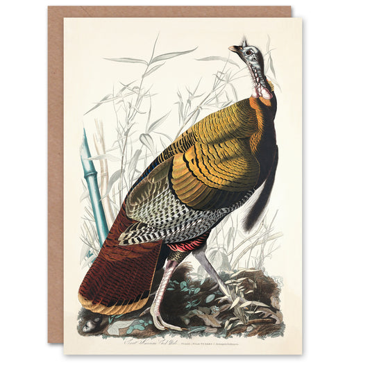 John James Audubon Art Card Birds of America Wild Turkey