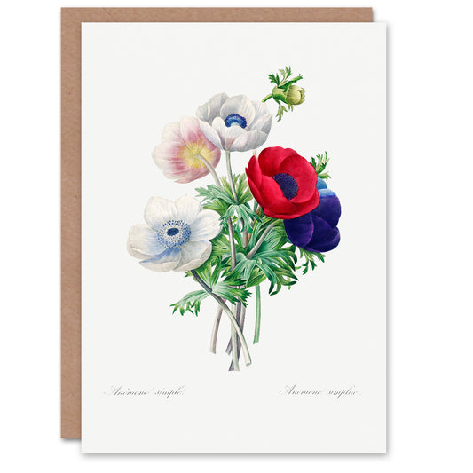Pierre-Joseph Redouté Art Card Anemone Flowers Vintage Botanical