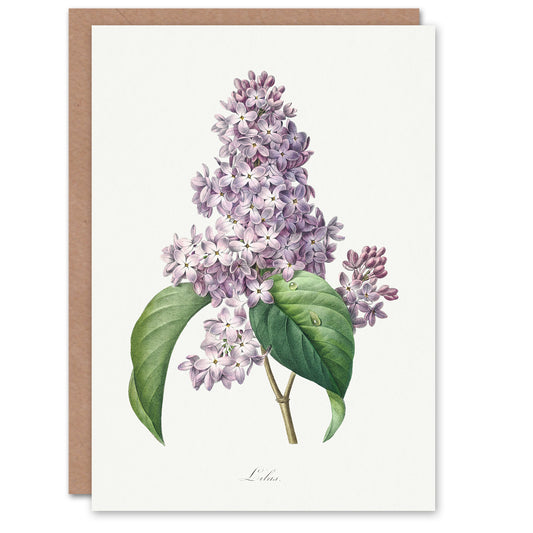 Pierre-Joseph Redouté Art Card Lilac Vintage Floral Illustration