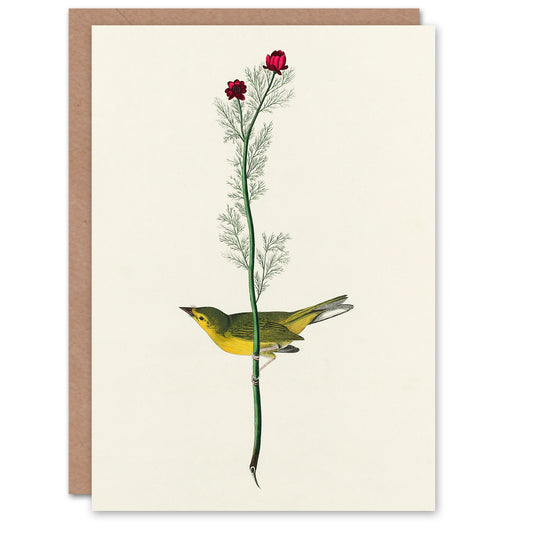 John James Audubon Art Card Selbys Flycatcher Bird