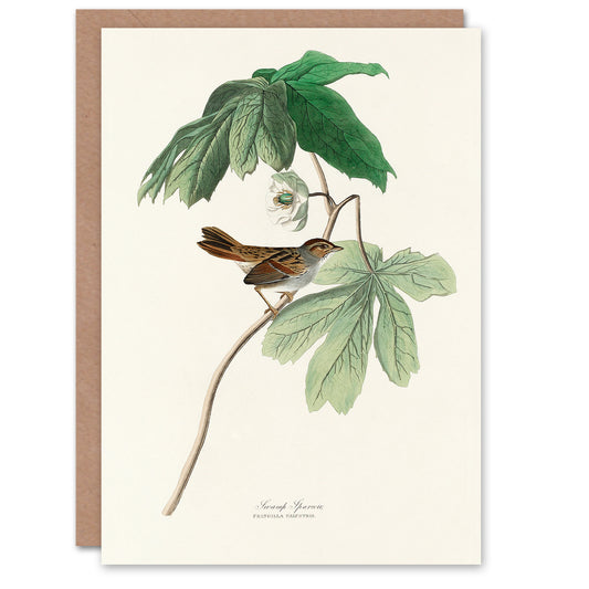 John James Audubon Art Card Swamp Sparrow and Mayapple Plant