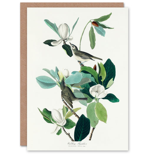 John James Audubon Art Card Warbling Flycatcher and Magnolia Flowers