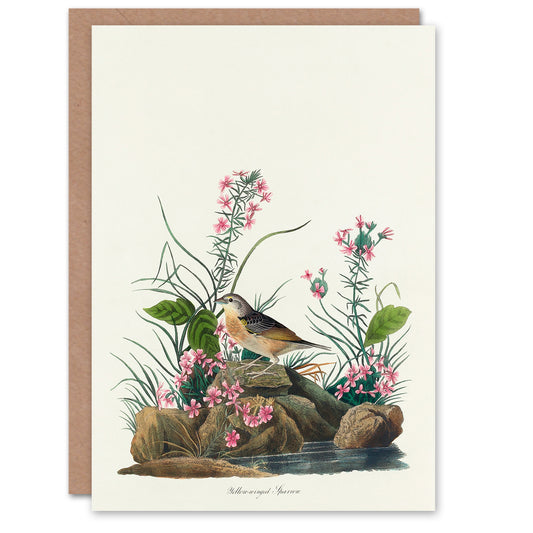 John James Audubon Art Card Yellow Winged Sparrow