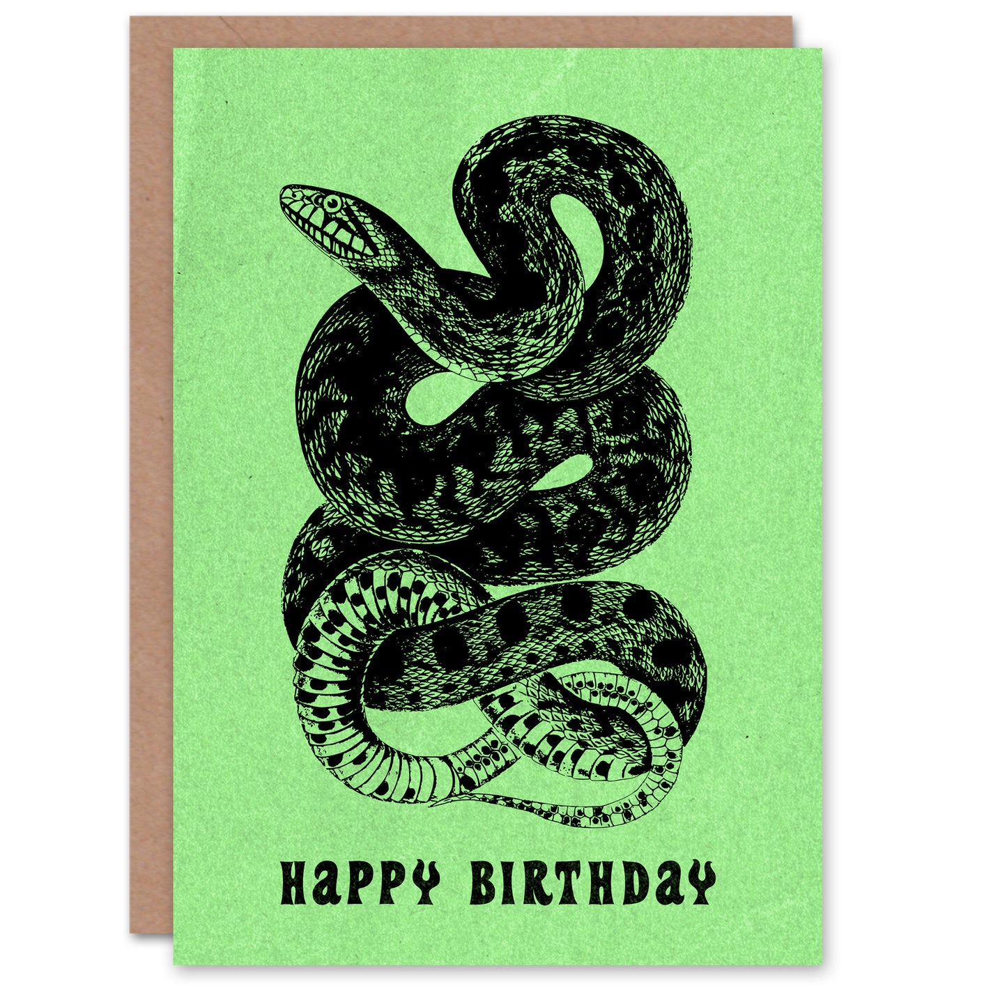 Snake Serpent Retro Vintage Style Drawing Birthday Card
