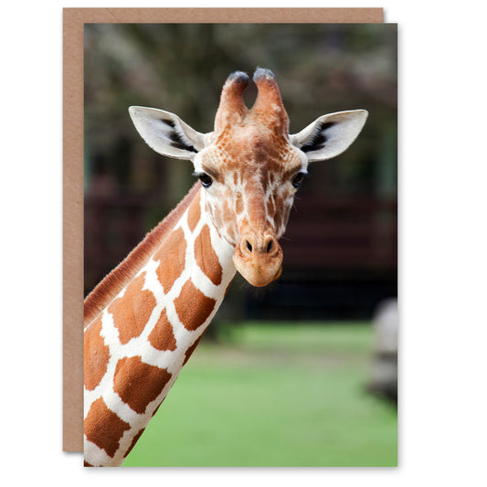 Carol M Highsmith Art Card Giraffe at Oak Park Montgomery Zoo