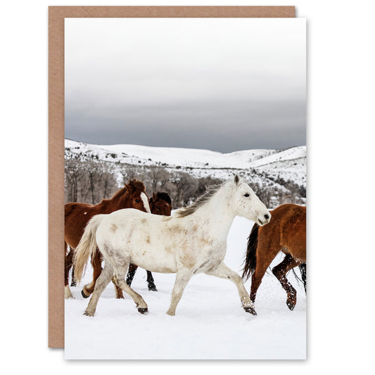 Carol M Highsmith Art Card Wild and Domesticated Horse Herd