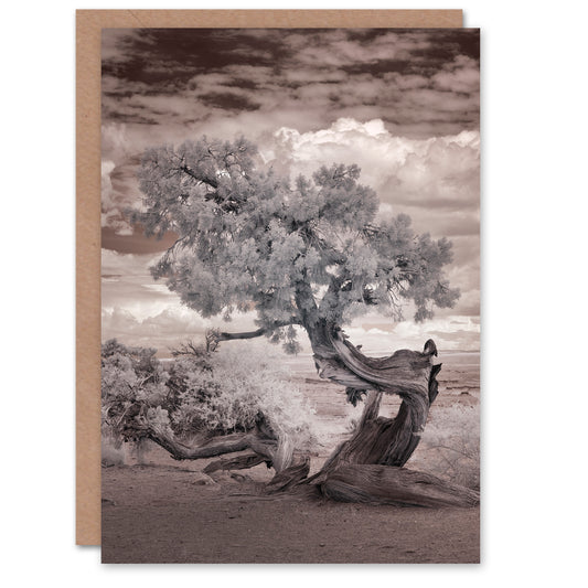 Carol M Highsmith Art Card Twisted Desert Tree Infrared View