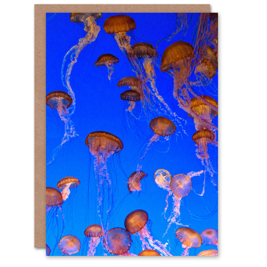 Carol M Highsmith Art Card Monterey Bay Aquarium Jellyfish