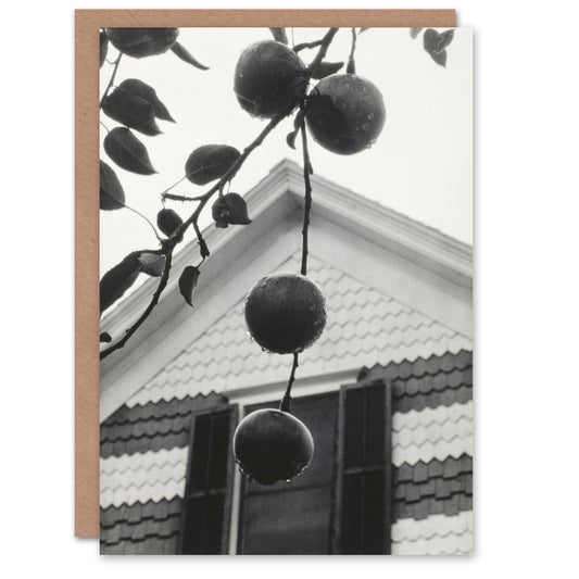 Alfred Stieglitz Art Card Gable and Apples Vintage Photograph