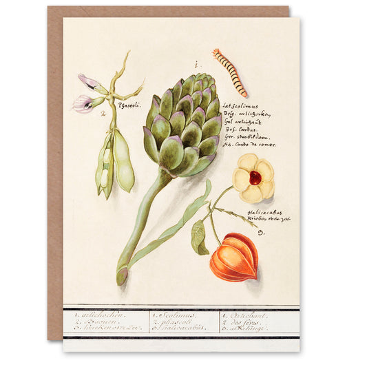 Anselmus de Boodt Art Card Artichoke Broad Beans Groundcherry