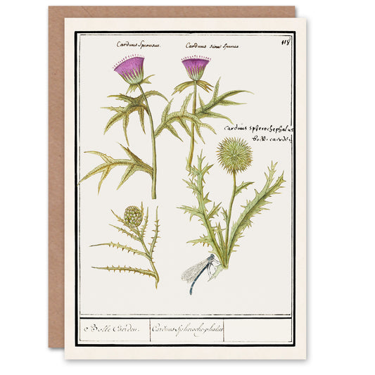 Anselmus de Boodt Art Card Thistle and Artichoke Flowers