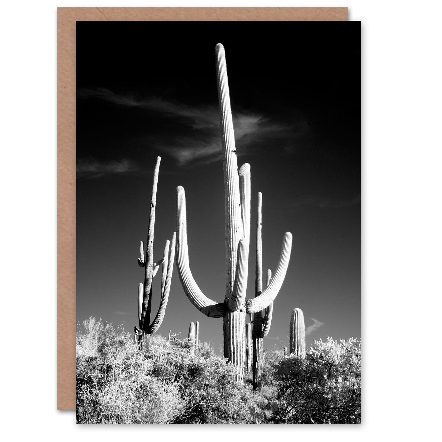 Carol M Highsmith Art Card Saguaro Cactus Black White Photograph