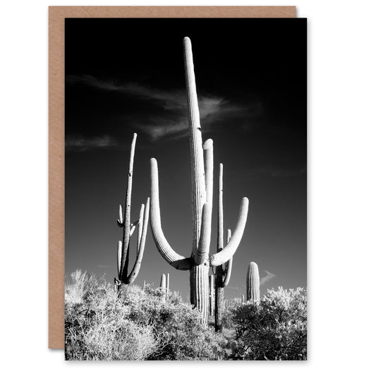 Carol M Highsmith Art Card Saguaro Cactus Black White Photograph