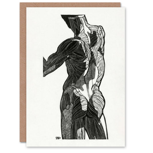 Reijer Stolk Art Card Anatomical Study Of Gluteal Muscles