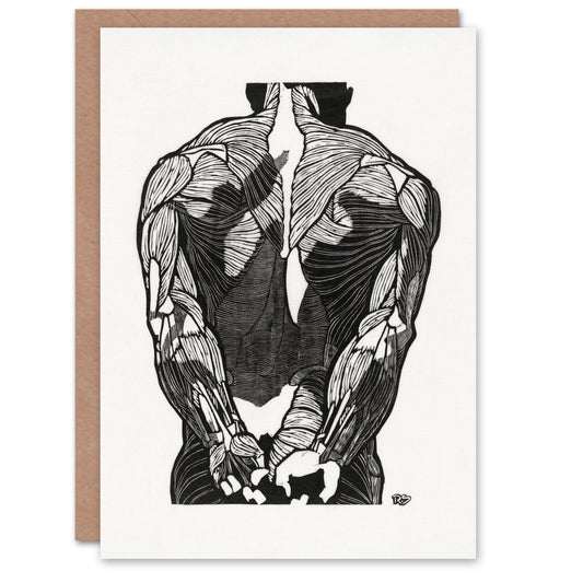 Reijer Stolk Art Card Anatomical Study Of Mans Back Muscles