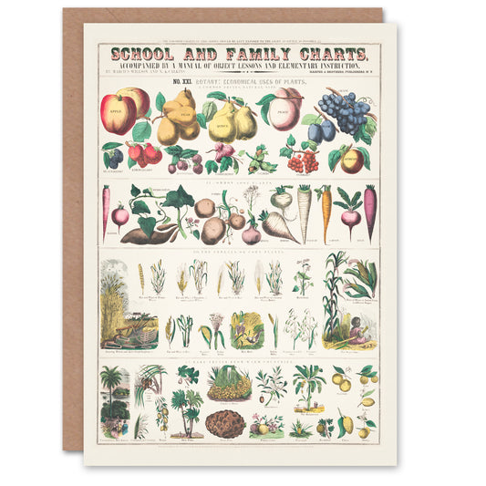 Willson and Calkins Art Card School And Family Charts No XXI