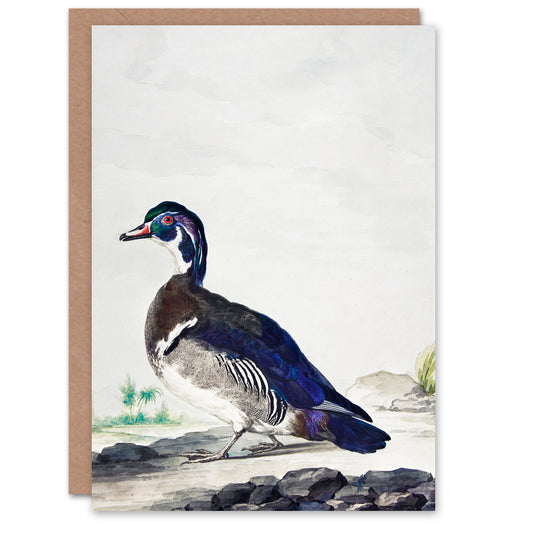 Aert Schouman Art Card Wood Duck Vintage Bird Oil Painting