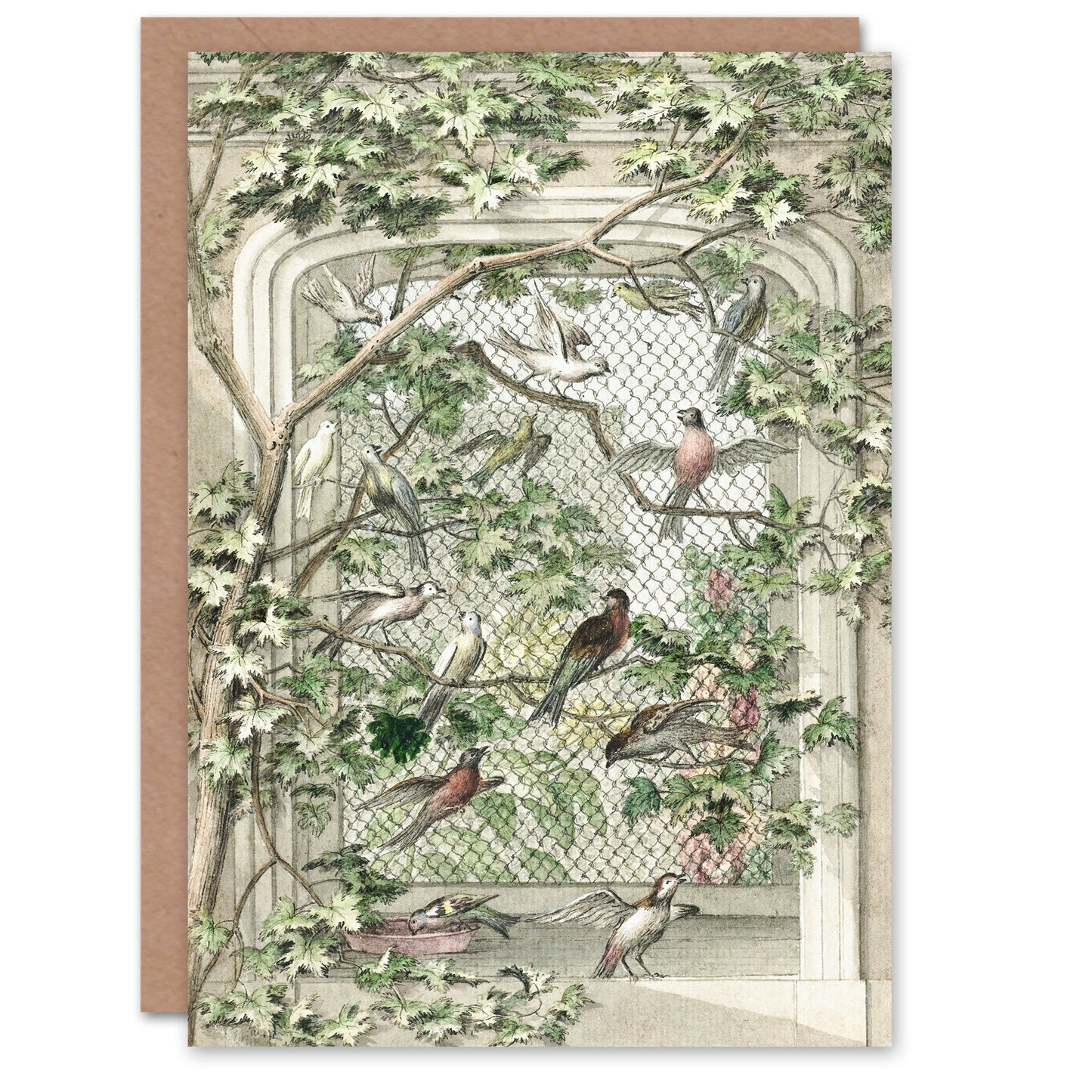 Aert Schouman Art Card Aviary with Fourteen Birds