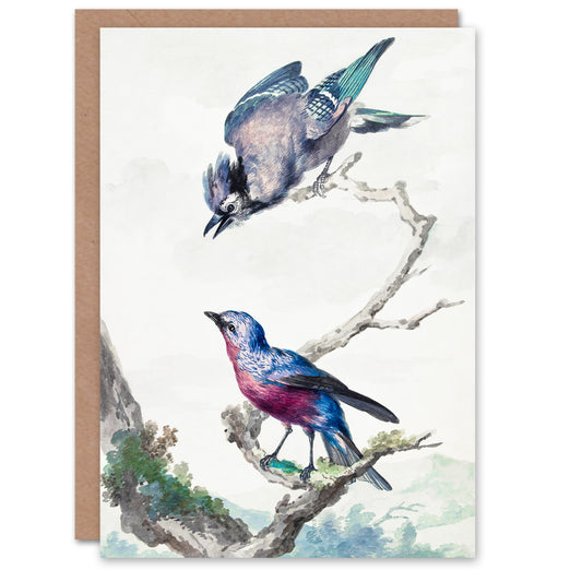 Aert Schouman Art Card Blue Jay and a Purple Breasted Cotinga