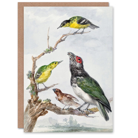 Aert Schouman Art Card Four Different Birds on a Branch