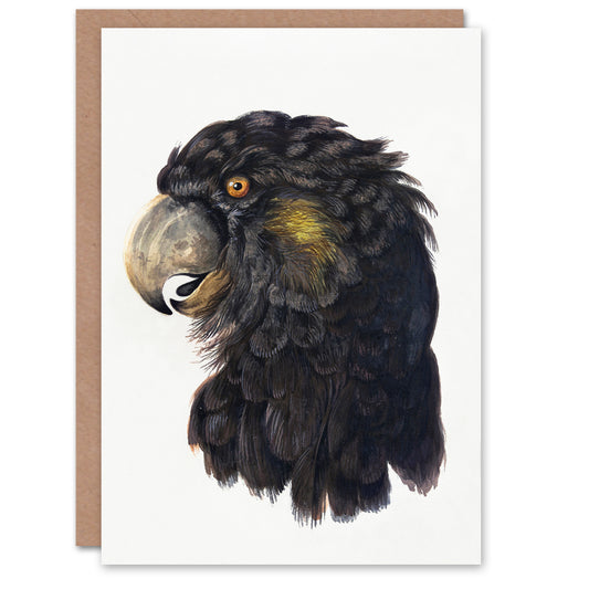 Aert Schouman Art Card Cockatoo Parrot Head Watercolour