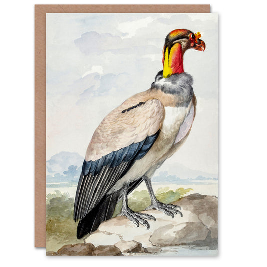 Aert Schouman Art Card King Vulture Bird Vintage Watercolour