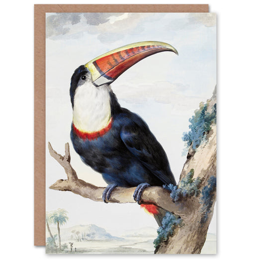 Aert Schouman Art Card Red Billed Toucan Bird Painting