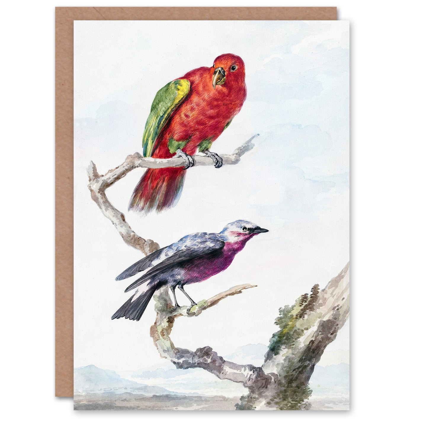 Aert Schouman Art Card Red Green Parrot and Bird Watercolour