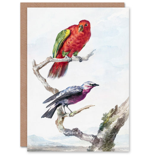 Aert Schouman Art Card Red Green Parrot and Bird Watercolour