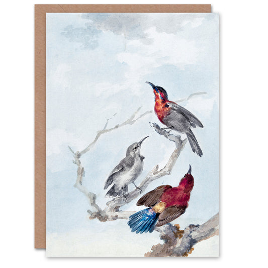 Aert Schouman Art Card Three Crimson Sunbirds Watercolour