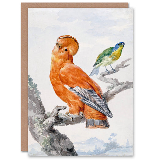 Aert Schouman Art Card Two Exotic Birds Watercolour Painting
