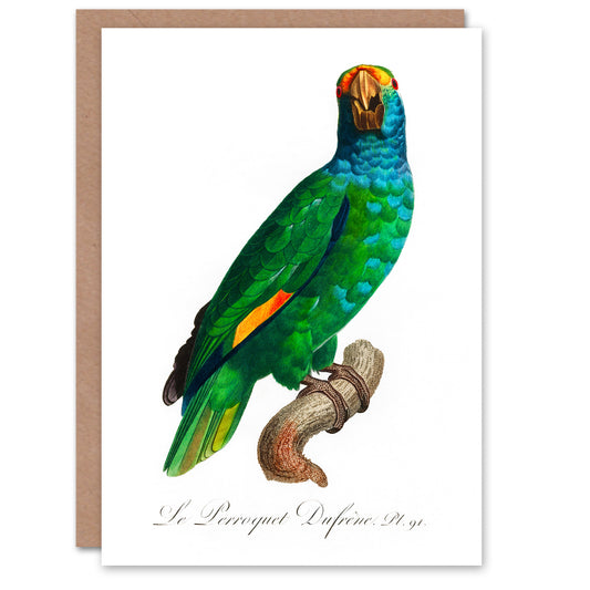 Francois Levaillant Art Card The Blue Cheeked Amazon Parrot