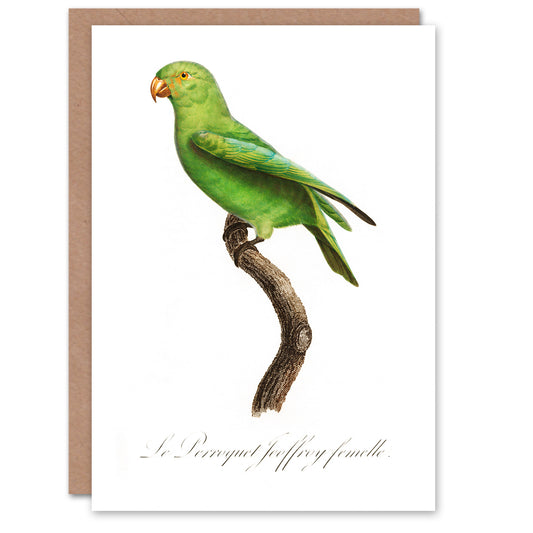 Francois Levaillant Art Card The Red Cheeked Parakeet